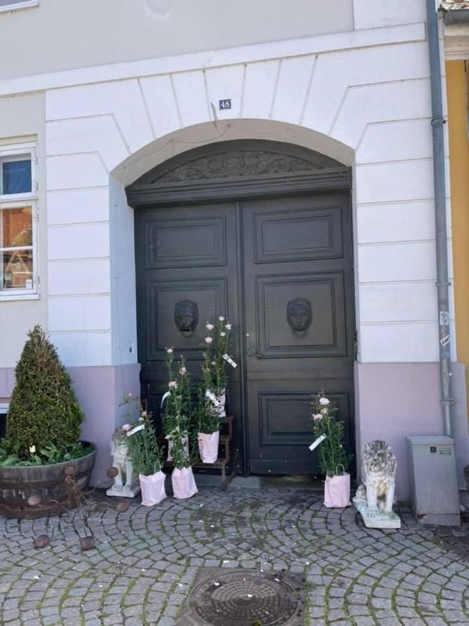 Apothekergaarden Stege Stuen Mod Gardhaven Bed & Breakfast Exterior photo
